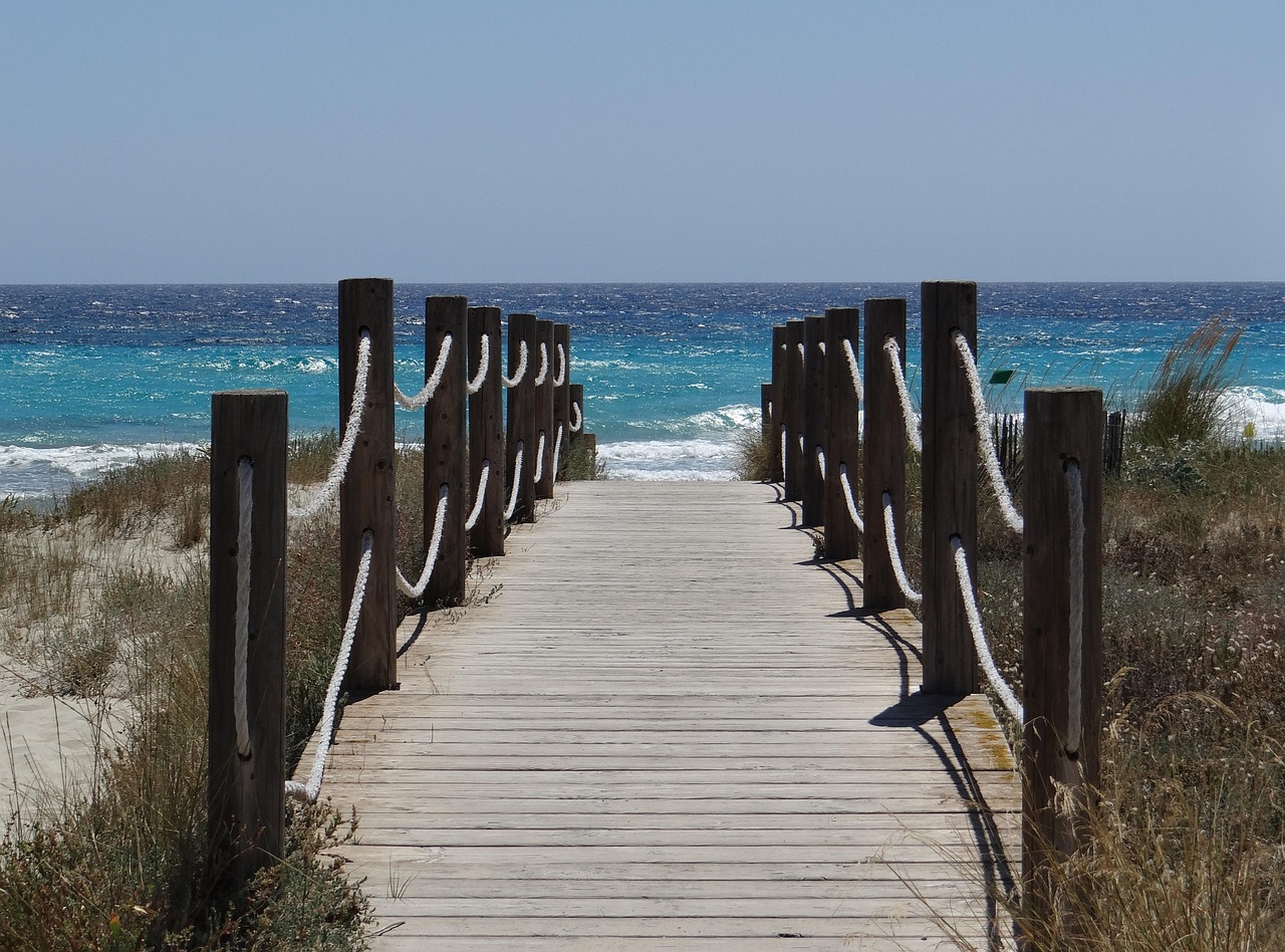 beach, web, wood, nature, quiet, idyll, sea, menorca, son bou, balance, peace, harmony, atmospheric, balearic islands